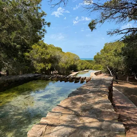 Apartament In La Mata Parquemar *